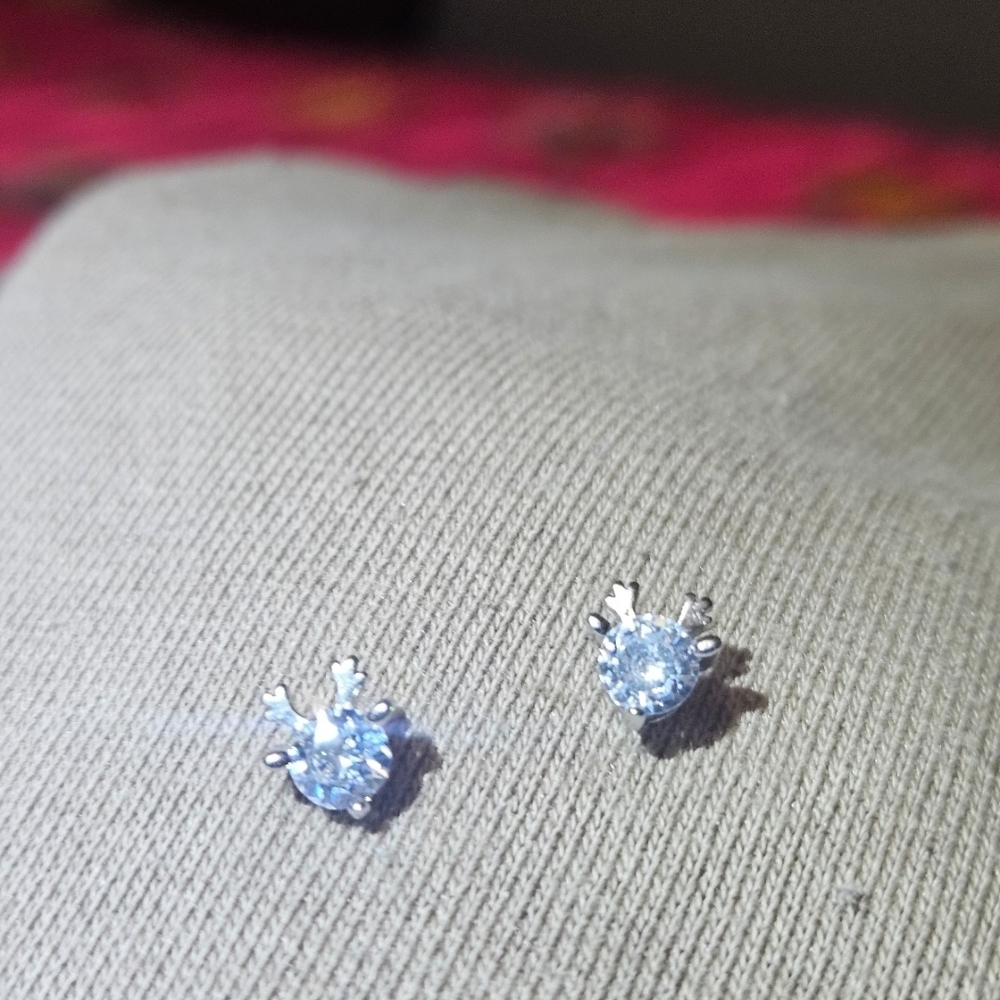 Chic Silver Turtle Stud Earrings - image 3